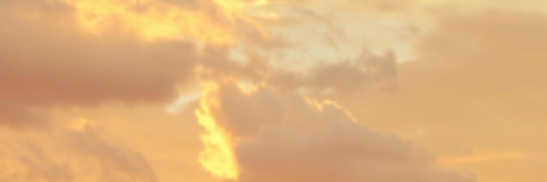 nyhhjo's profile banner image