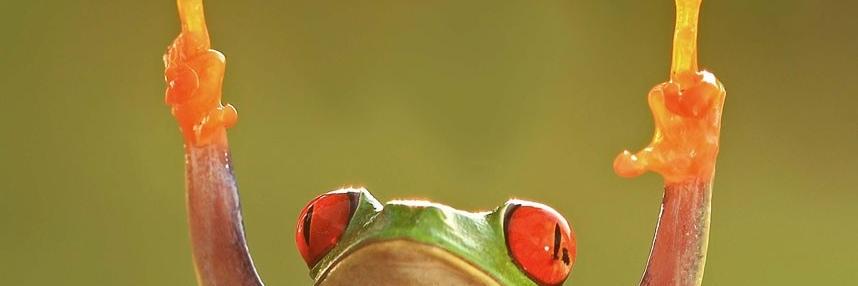 ET banner