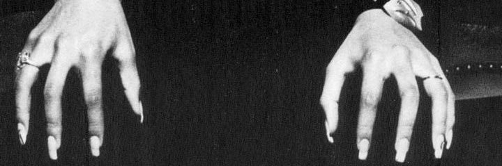 OrfeoConcini's profile banner image