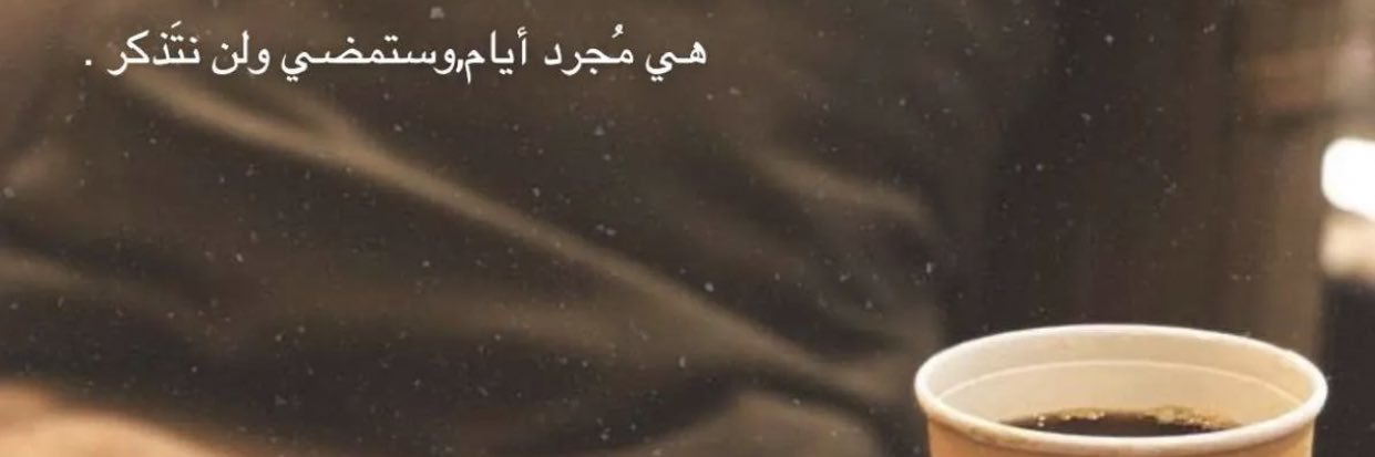 morbear123's profile banner image
