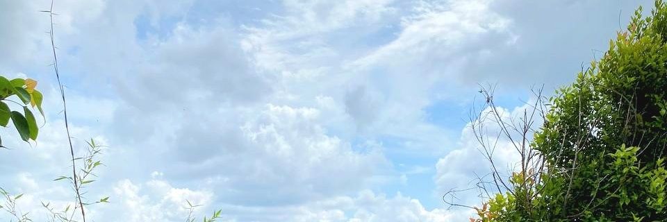 Nfaeaz's profile banner image