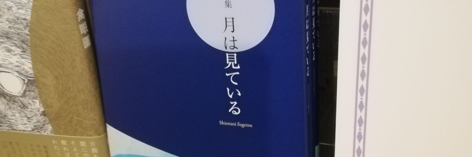 sfugetsu's profile banner image