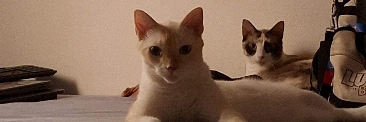 afamosadani's profile banner image