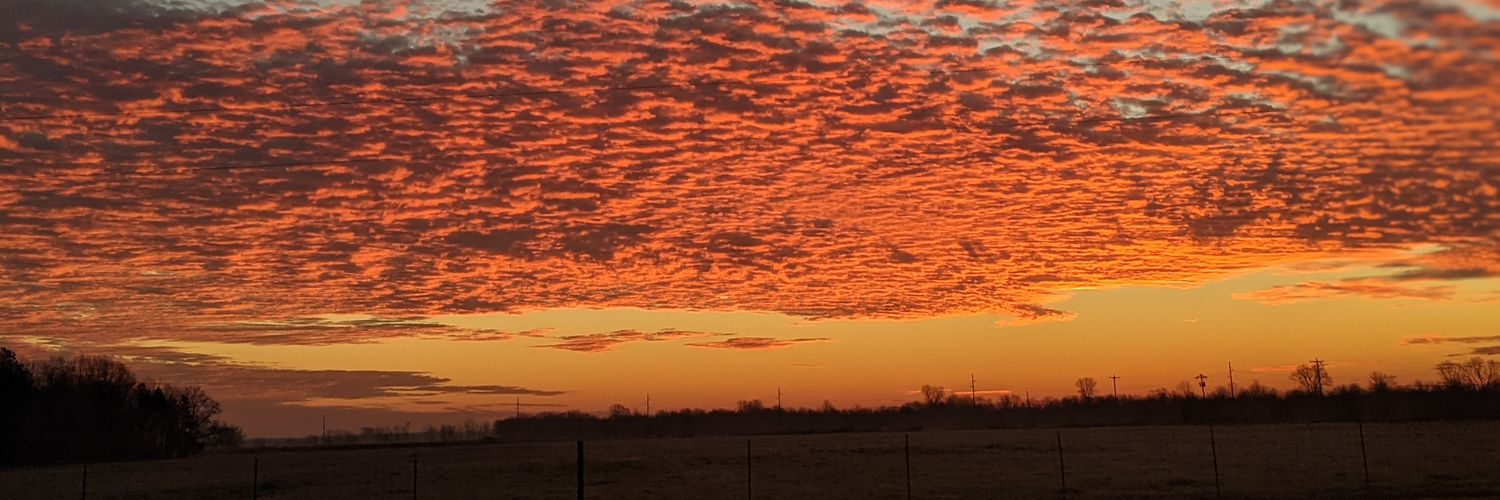 name cannot be blank, PhD banner