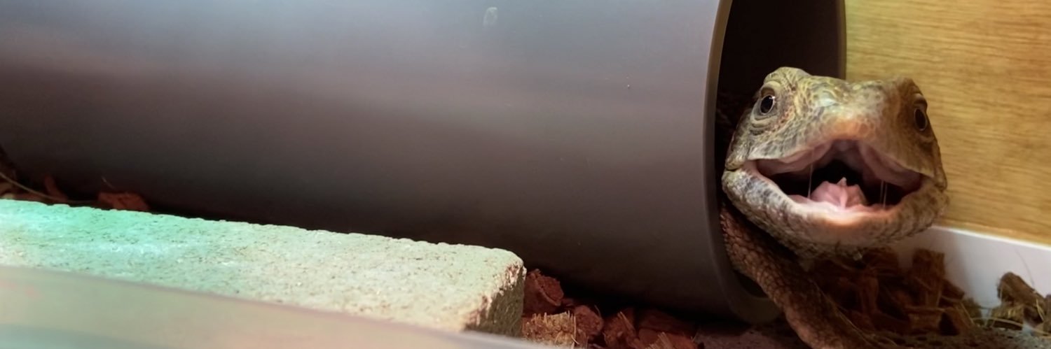 bakemen_'s profile banner image