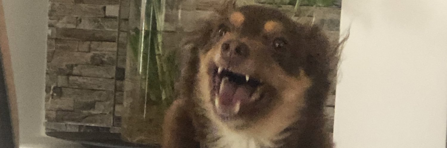 Billylxrx's profile banner image