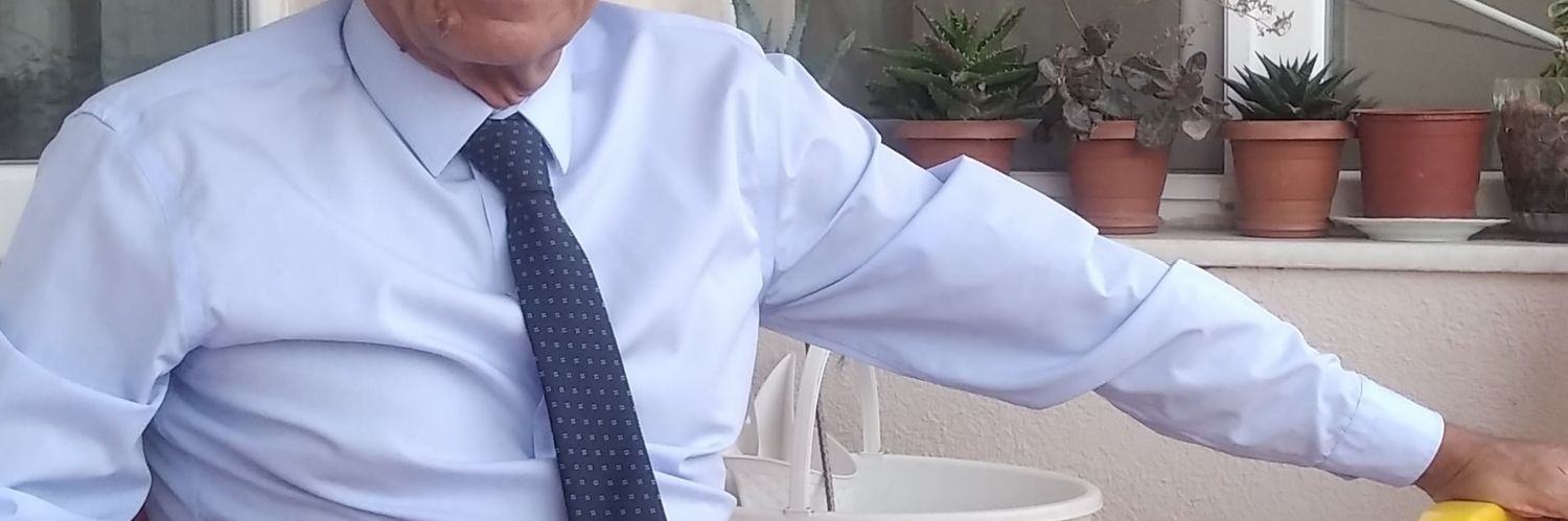 Alisevgi60's profile banner image