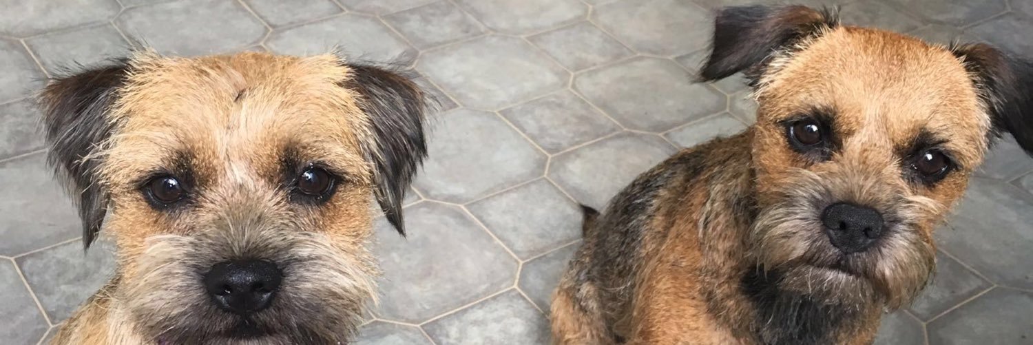 Squeesie's profile banner image