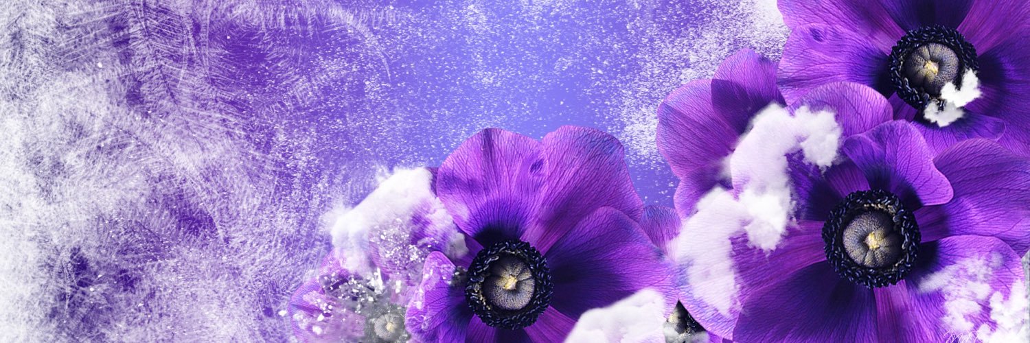 MiaDB1018's profile banner image
