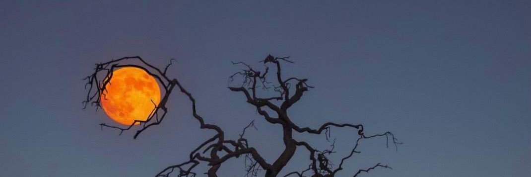 iDimeDochi's profile banner image
