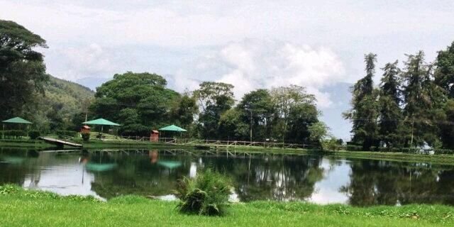 israelriveros's profile banner image