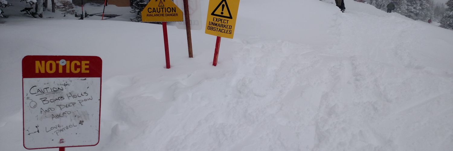 LynnKCarlson's profile banner image