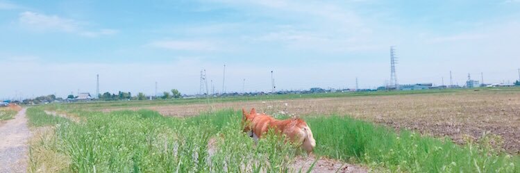 w3k3n's profile banner image