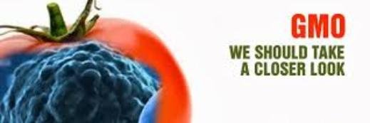 caralangsingID's profile banner image