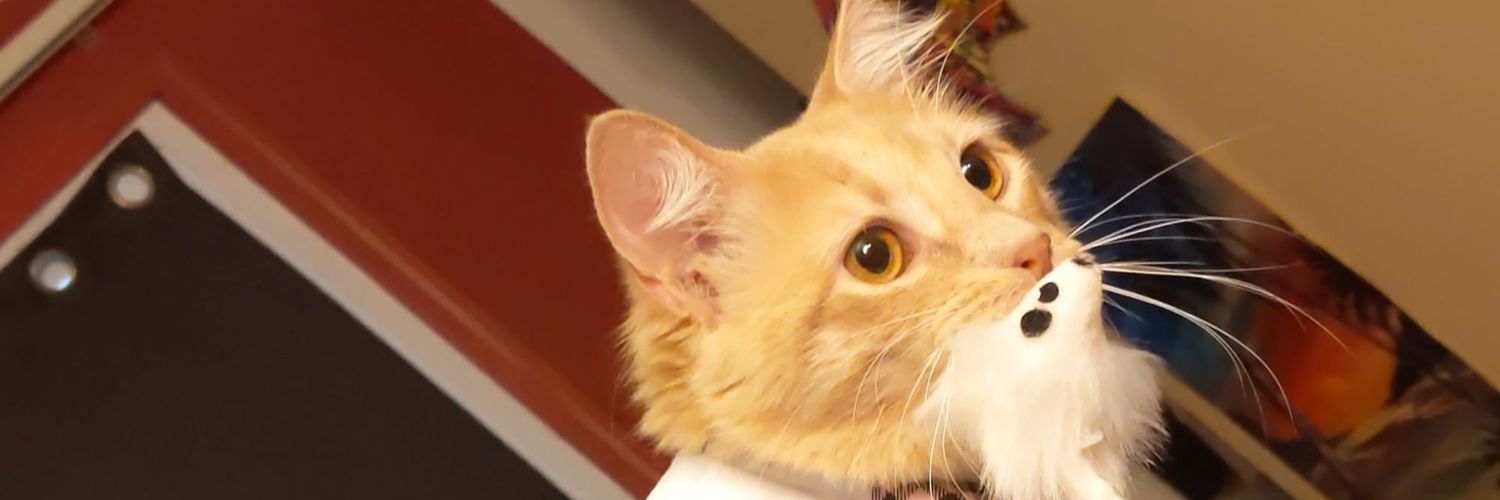 nwoolve's profile banner image