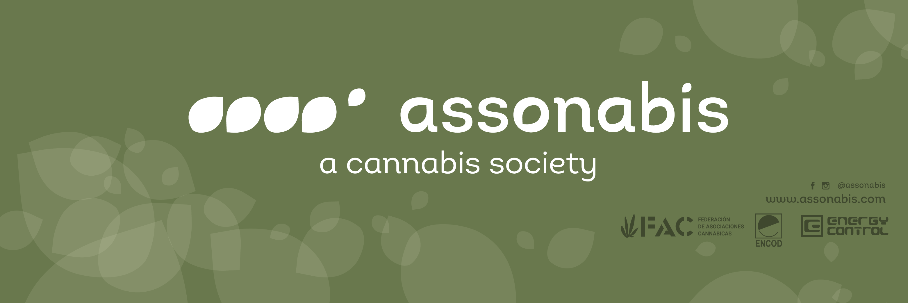 assonabis banner