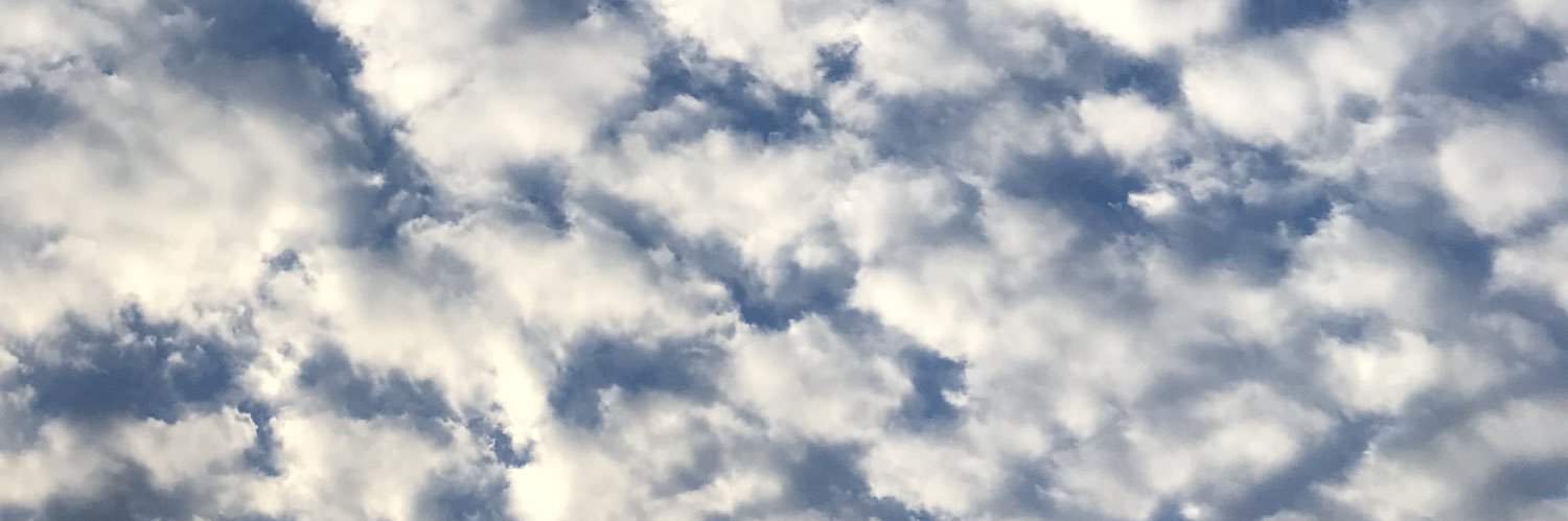 LuceroJessica's profile banner image