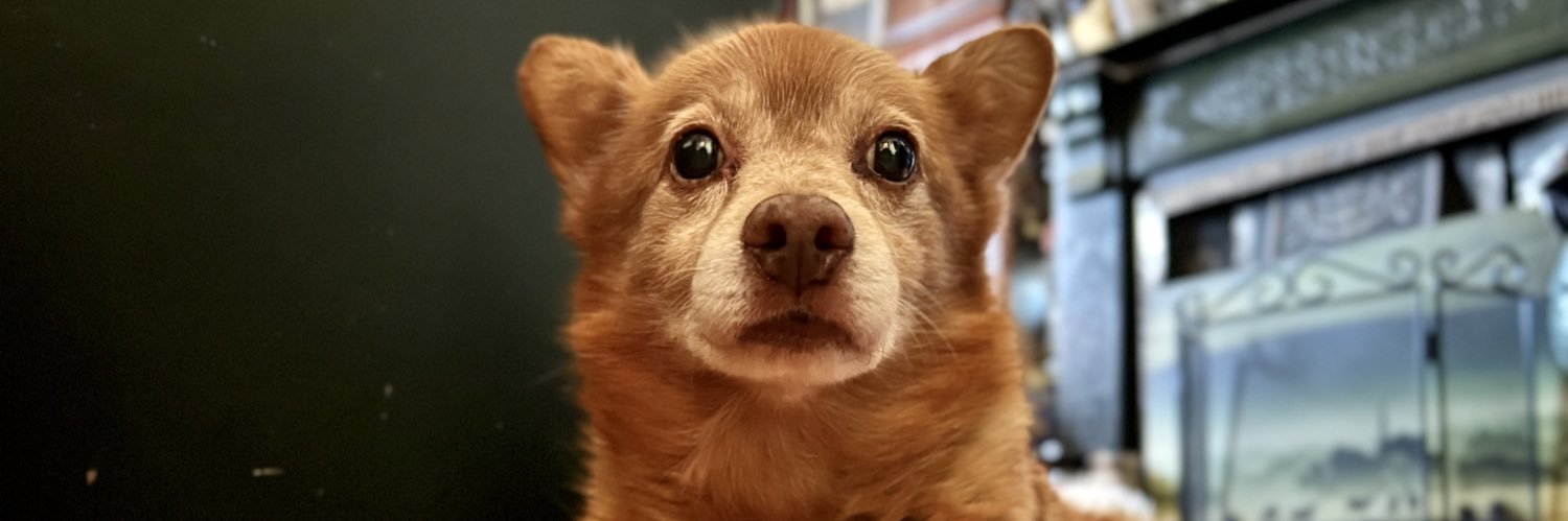 beezzars200's profile banner image