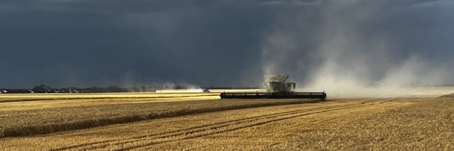 iMc Fels 📲🌾 banner