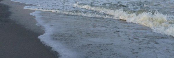WriteKateWrite Profile Banner