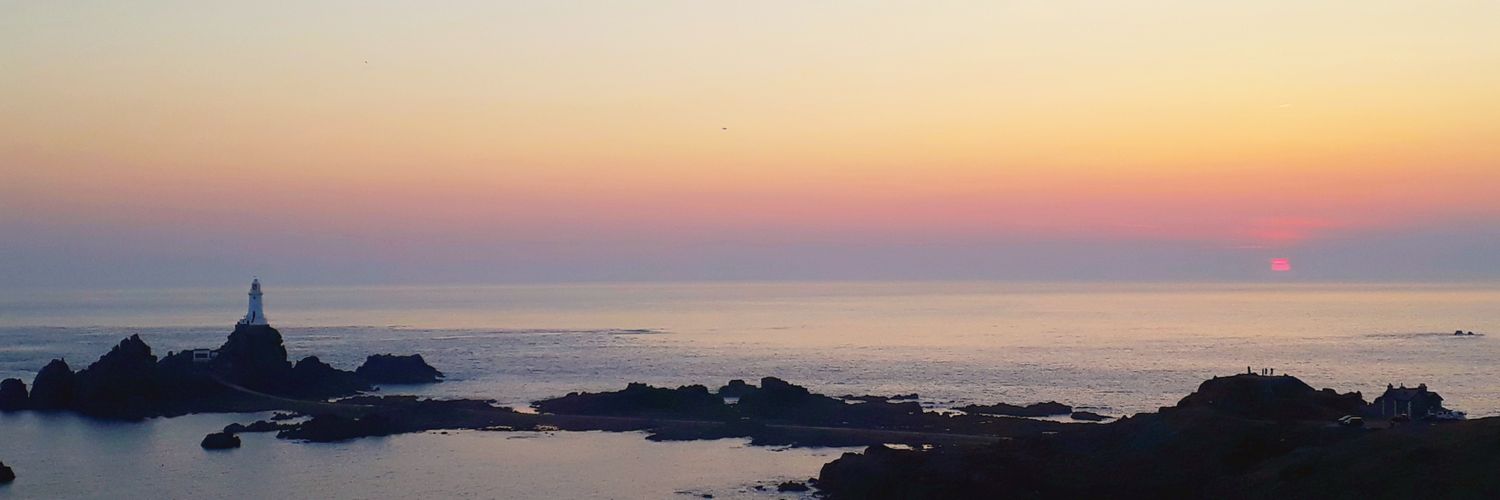 Sybil Baldwin #TheSpiderWhisperer 🕷 banner