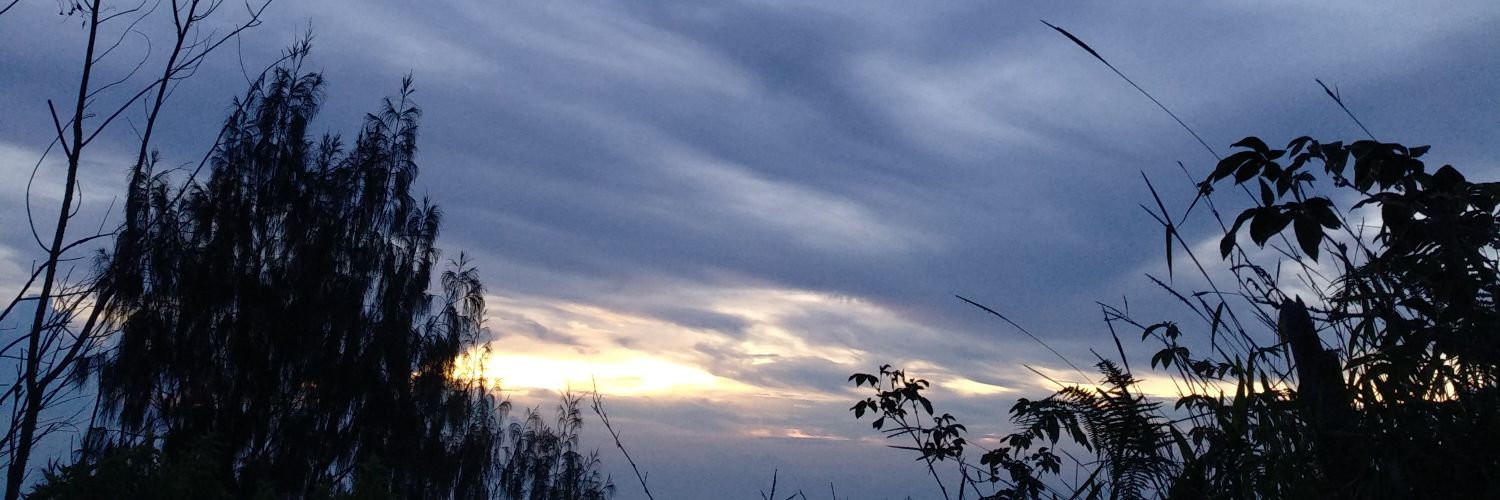 brndthvy's profile banner image