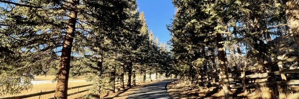 vegapriscella Profile Banner