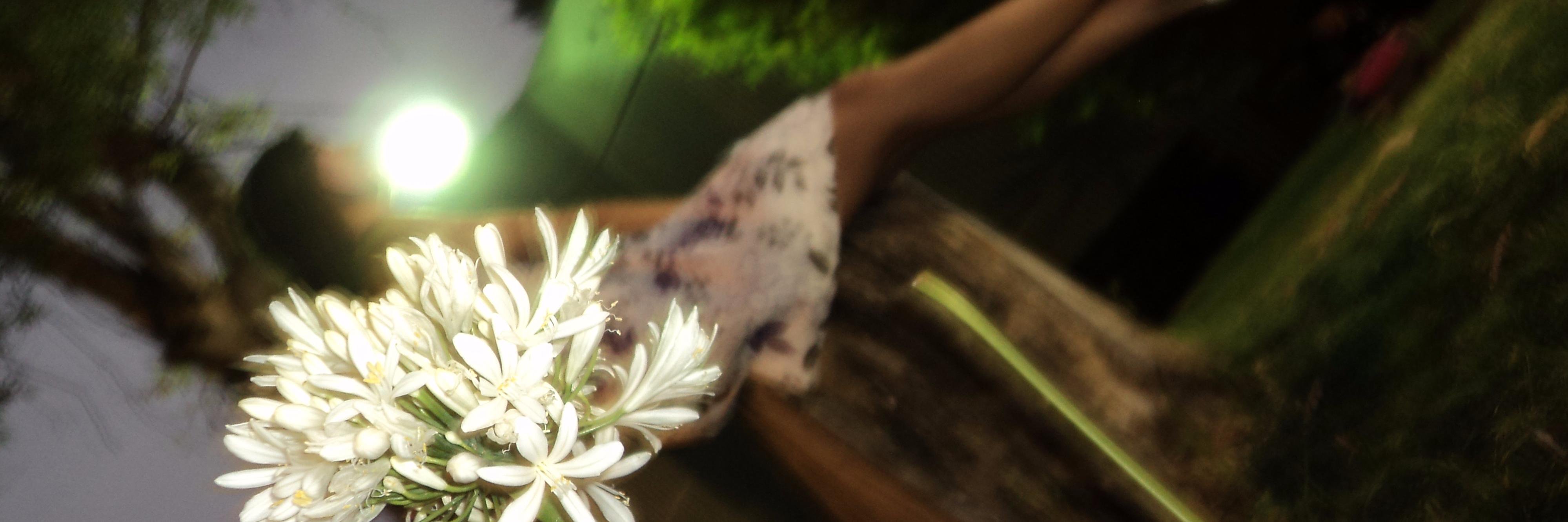 DENIANELSY's profile banner image