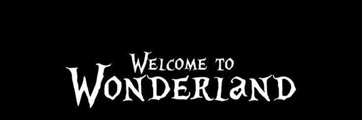 casstoldi's profile banner image