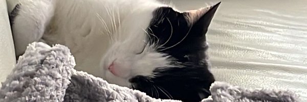 rayyannlive Profile Banner