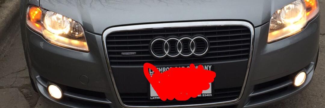 LongevityQ's profile banner image