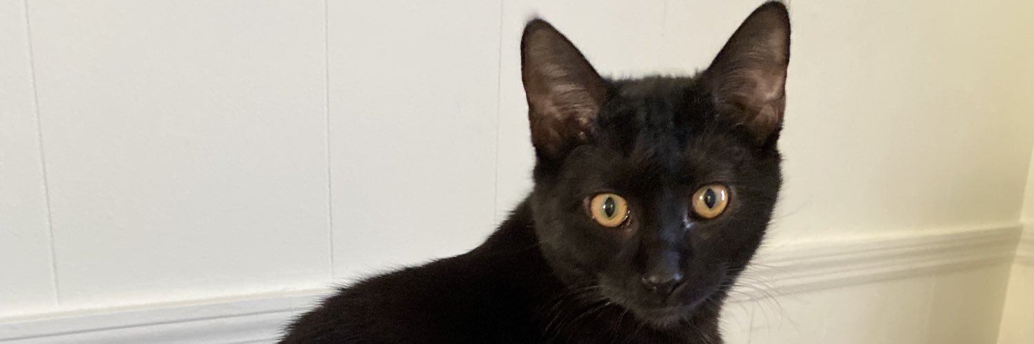 checkbackwitu's profile banner image
