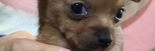 charliemuba's profile banner image