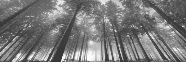 Chambers_Occu Profile Banner