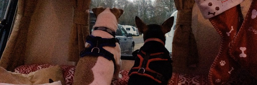 ArchieSpracklen's profile banner image