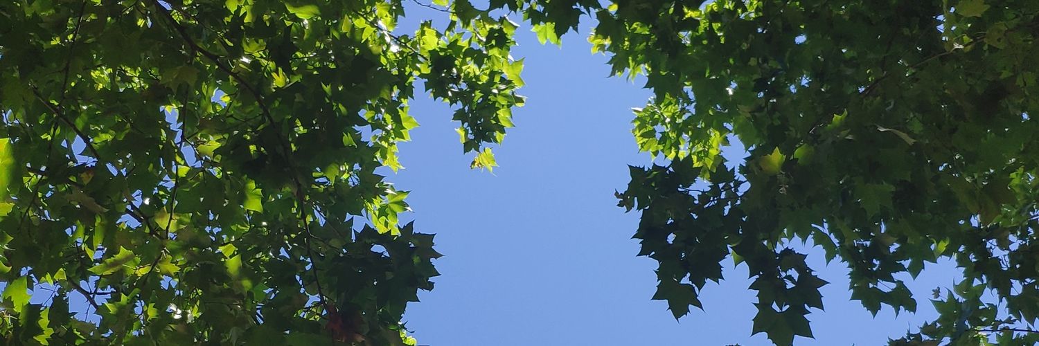 rafapaulooo's profile banner image