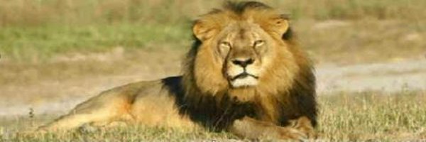 Ronak_Unadkat Profile Banner