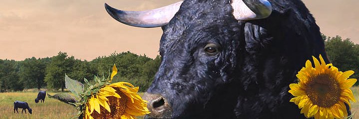 adideuce's profile banner image