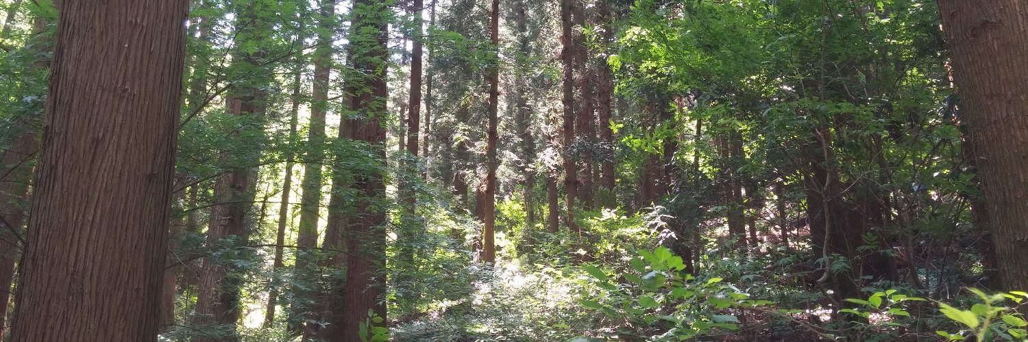 leafdecomposes's profile banner image