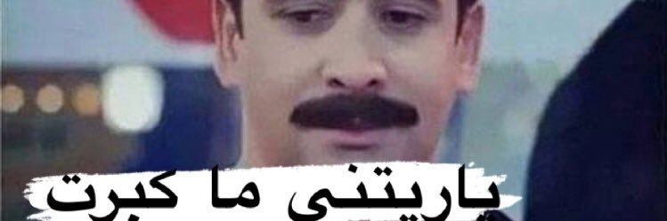 هدهد فخر العرب. banner