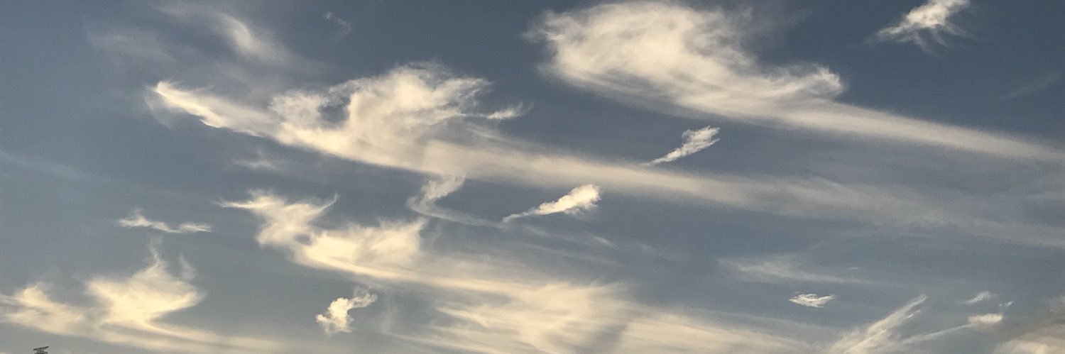 OrzXa's profile banner image