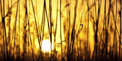 ArguDaz's profile banner image