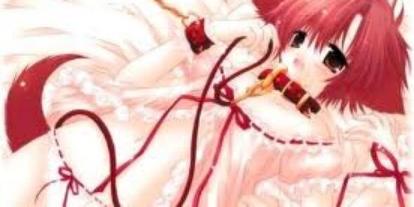 LittleDogLuna's profile banner image