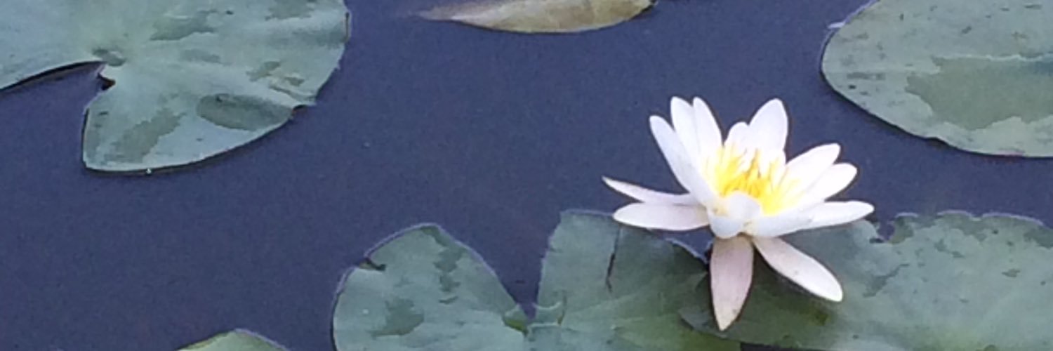 SamiCarobbio's profile banner image