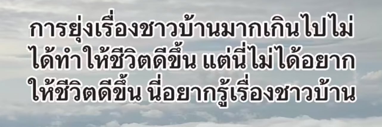 miemoew banner