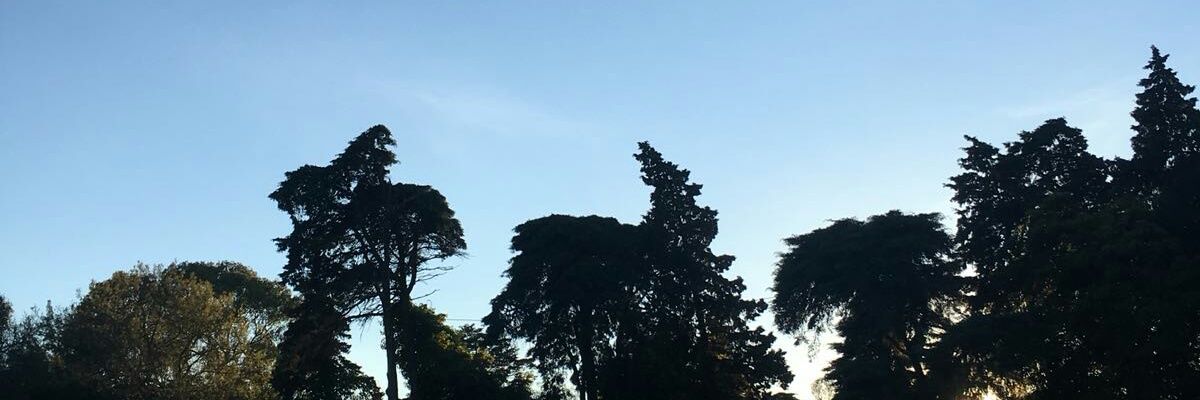 maybeangelaf's profile banner image