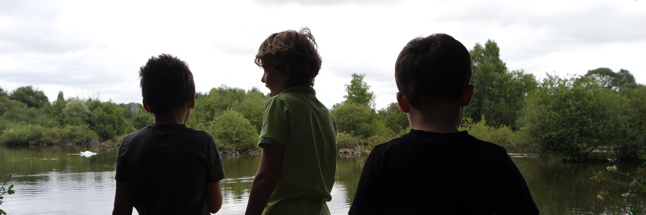 daniel read 🇨🇦 banner