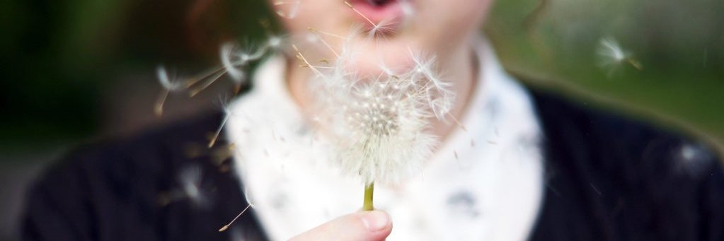 Monica Hoyos Flight banner