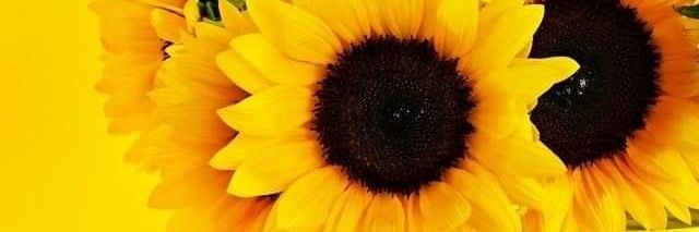 natigiret's profile banner image