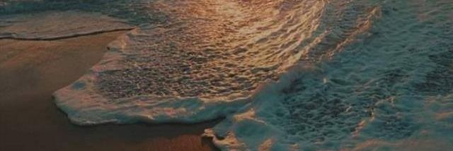 Zainy4488's profile banner image